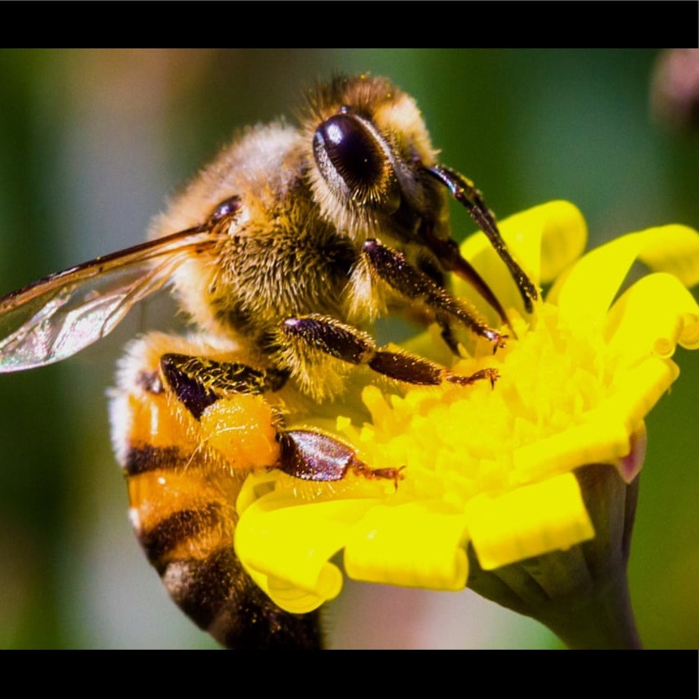 Meet your Posher, Stasia